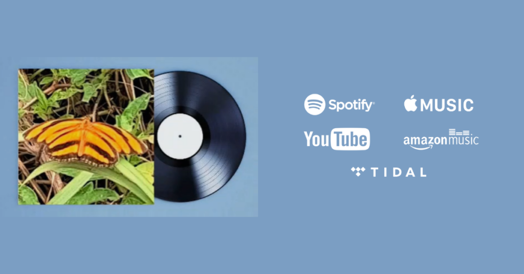 Um grito por paz em tempos de ruído – Don Policarpo